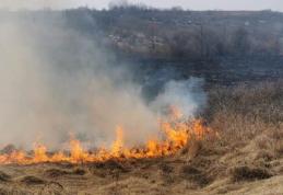 Zece incendii în județul Botoșani în ultimele 24 de ore