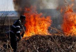 20 de incendii de vegetație uscată în județ în ultimele ore. Pompierii avertizează!