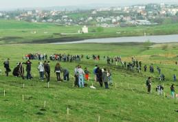 Primăria Municipiului Dorohoi vă invită la o acțiune de plantare de pomi