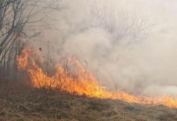 Incendiile continuă în județul Botoșani. Peste 20 de focare în ultimele 24 de ore
