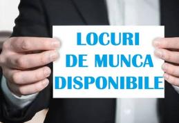 448 locuri de muncă vacante în județul Botoșani în această săptămână