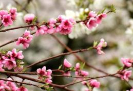 Cum va fi vremea până duminică. Prognoza meteo 7 -10 aprilie