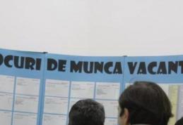 614 locuri de muncă vacante în această săptămână în judetul Botoșani