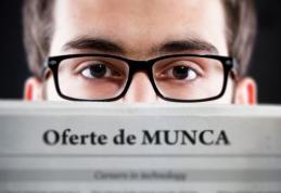 589 locuri de muncă vacante în județul Botoșani