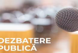 Primăria Dorohoi: Consultare publică privind construirea unui foișor în municipiul Dorohoi