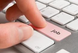 586 locuri de muncă vacante în județul Botoșani