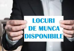 648 locuri de muncă vacante în județul Botoșani, în această săptămână