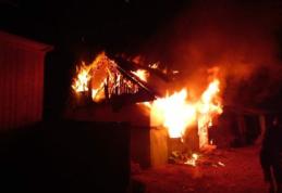  A vrut să le asigure căldură puilor dar a dat foc magaziei