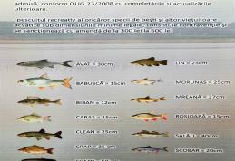 Acțiuni a jandarmilor pe râul Prut și acumulările Bucecea și Rogojești. Amenzi aplicate în lipsa unui permis de pescuit valabil