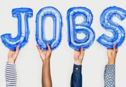 638 locuri de muncă vacante și programe de formare pentru care se organizează înscrieri la AJOFM Botoșani