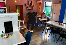 Acțiuni ale polițiștilor botoșăneni pe raza întregului județ - FOTO