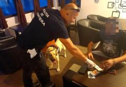 Droguri găsite în urma unui control de rutină pe o stradă din Botoșani