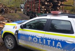 Transporturi ilegale de lemne depistate de polițiștii botoșăneni