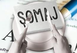 În atenţia absolvenţilor promoția 2022 – termen limită înscriere în evidențele AJOFM Botoșani