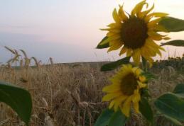 Prognoza meteo pentru luna august! Meteorologii au anunțat ce ne așteaptă în perioada următoare