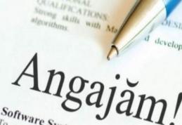 Societate comercială din Dorohoi angajează urgent muncitori. Vezi detalii!