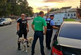 Amenzi de peste 24000 lei într-o acțiune a polițiștilor botoșăneni pentru siguranța cetățenilor - FOTO