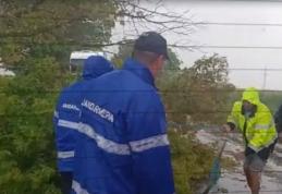 Copac rupt de furtună care bloca un drum, îndepărtat de jandarmii care se întorceau dintr-o misiune