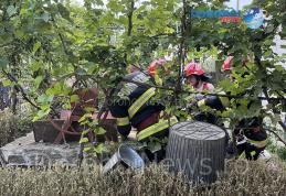 Femeie din Dorohoi găsită decedată în fântâna din curtea casei în care locuia - FOTO