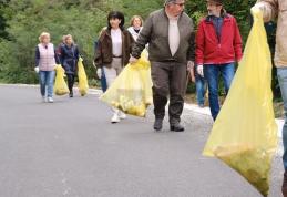 Consiliul Județean Botoșani s-a raliat campaniei „Let's do it, România!” - FOTO