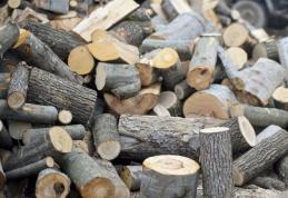 Guvernul a decis plafonarea la 500 de lei pentru un metru cub de lemn de foc și interzicerea exportului