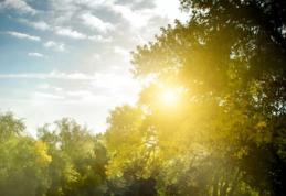 Meteorologii au anunțat cum va fi vremea în următoarele două săptămâni