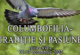 DOROHOI: Expoziția temporară „Columbofilia – tradiție și pasiune”, ediția a XVI-a