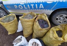 Botoșani: Trei percheziţii domiciliare într-un dosar de braconaj piscicol - FOTO