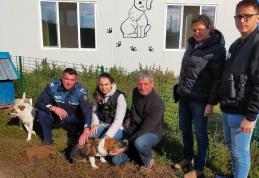 Acțiune a polițiștilor din cadrul Biroului pentru Protecția Animalelor