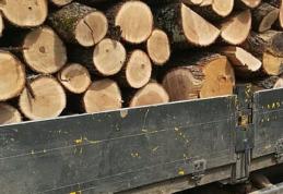 Un tânăr a fost sancționat de polițiști și a rămas fără lemnul pe care îl transporta