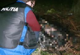 Bărbat reținut pentru uciderea animalelor