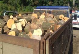 Două transporturi ilegale de lemn confiscate de polițiștii botoșăneni