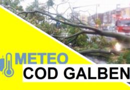 Județul Botoșani: Alertă meteo COD GALBEN de vijelie în următoarele ore!