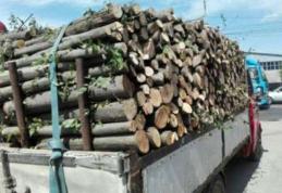 Material lemnos confiscat și amendă pentru un transport ilegal de lemne 