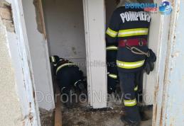 Pompierii dorohoieni din nou eroi pentru necuvântătoare: Câine salvat dintr-un grup sanitar dezafectat - FOTO