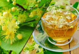 Teiul și regenerarea psihică