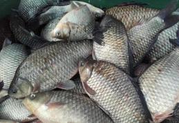 Peste 40 de kilograme de pește confiscate de polițiști