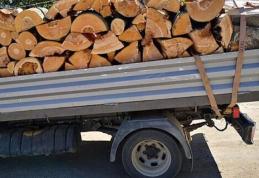 Material lemnos confiscat de polițiștii din Flămânzi