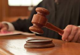 Bărbat trimis în judecată pentru uciderea animalelor, cu intenție, fără drept