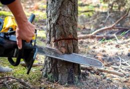Tragedie la Suharău! Un bărbat de 46 de ani a murit în urma unui accident de muncă