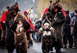 Urşii de la Comănești vin la Botoșani