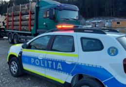 Controale ale polițiștilor pe linia transportului de material lemnos și al animalelor vii