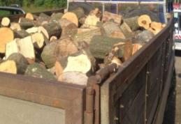 Peste 11 metri cubi de material lemnos fără documente, confiscat la Mihăileni
