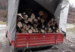Transport de material lemnos fără aviz de însoțire: 1.000 de lei amendă și confiscarea a peste 1,5 metri cubi de lemn