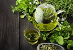 Tratamente din plante pentru o digestie sănătoasă