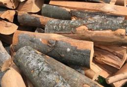 Material lemnos confiscat de polițiștii botoșăneni