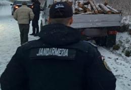 Lemne fără documente de proveniență confiscate de jandarmii botoșăneni - FOTO