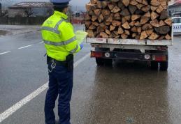 Bărbat din Flămânzi amendat după ce a transportat material lemnos pe baza unui aviz fals