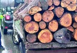 Peste 6 metri cubi de material lemnos confiscat