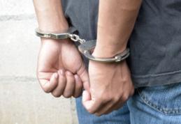 Proprietarul câinilor care l-au atacat pe băiatul de 10 ani a fost reținut de polițiști